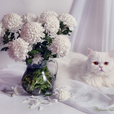 Cross stitch pattern: #325286