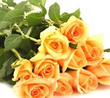 Cross stitch pattern: #325512