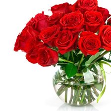 Cross stitch pattern: #325515