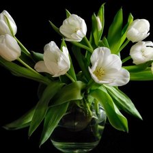 Cross stitch pattern: #325532