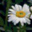 Preview of cross stitch pattern: #325731
