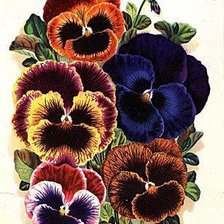 Cross stitch pattern: #325789