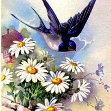 Cross stitch pattern: #325798