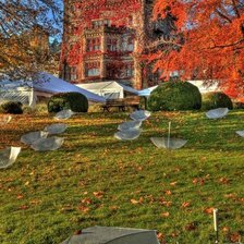 Cross stitch pattern: #325962