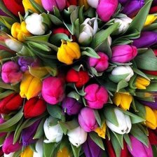 Cross stitch pattern: #326105