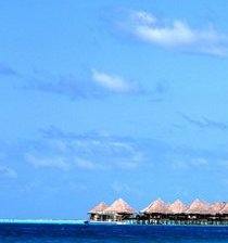 Cross stitch pattern: #326133