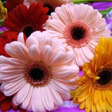 Cross stitch pattern: #326148