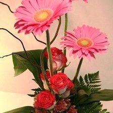 Cross stitch pattern: #326206