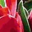 Preview of cross stitch pattern: #326210