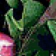 Preview of cross stitch pattern: #326211
