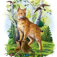 Cross stitch pattern: #326614
