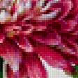 Preview of cross stitch pattern: #326915