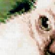 Preview of cross stitch pattern: #327013