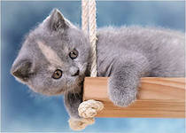 Cross stitch pattern: #327017