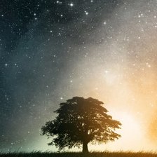 Cross stitch pattern: #327058