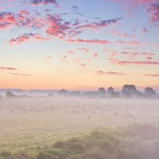 Cross stitch pattern: #327062