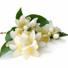 Cross stitch pattern: #327259