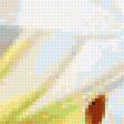 Preview of cross stitch pattern: #327489
