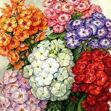 Cross stitch pattern: #329204