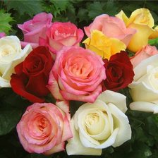 Cross stitch pattern: #329341