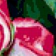 Preview of cross stitch pattern: #329369
