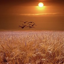 Cross stitch pattern: #330267