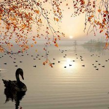 Cross stitch pattern: #330271