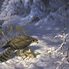 Cross stitch pattern: #330334