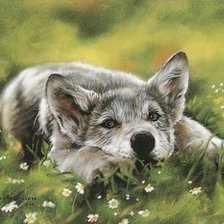 Cross stitch pattern: #330336