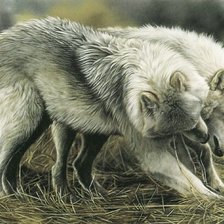 Cross stitch pattern: #330339