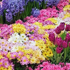 Cross stitch pattern: #331021