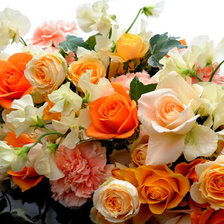 Cross stitch pattern: #331023