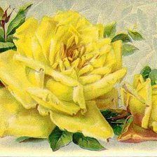 Cross stitch pattern: #331133