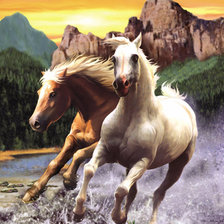 Cross stitch pattern: #331147