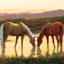 Cross stitch pattern: #331416