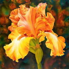 Cross stitch pattern: #331591