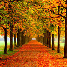 Cross stitch pattern: #332183