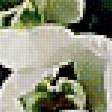 Preview of cross stitch pattern: #332835