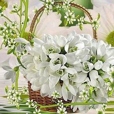 Cross stitch pattern: #332835
