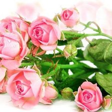 Cross stitch pattern: #332836