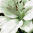 Preview of cross stitch pattern: #332905