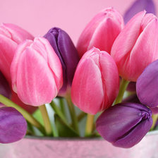 Cross stitch pattern: #333064
