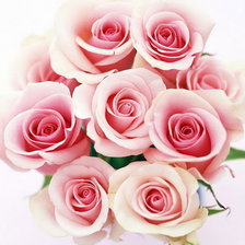 Cross stitch pattern: #333071