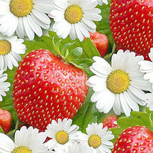Cross stitch pattern: #333097
