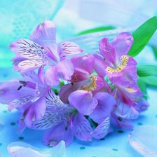 Cross stitch pattern: #333107