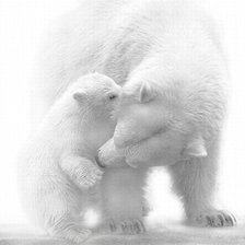 Cross stitch pattern: #333649