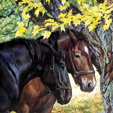 Cross stitch pattern: #333694