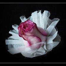 Cross stitch pattern: #334603