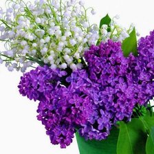 Cross stitch pattern: #334743