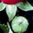 Preview of cross stitch pattern: #334747
